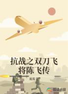 抗战之双刀飞将陈飞传
