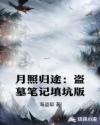 月照归途：盗墓笔记填坑版