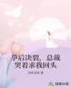 孕后决裂，总裁哭着求我回头