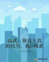 高武：你竟天真的以为，我D风系