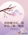 侯府覆灭后，我护住了唯一嫡孙