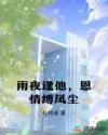 雨夜逢他，恩情缚凤尘
