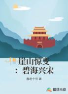 崖山惊变：碧海兴宋
