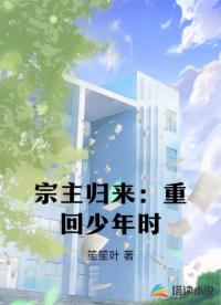 宗主归来：重回少年时