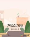 灰烬边境
