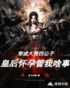穿成大楚四公子，皇后怀孕管我啥