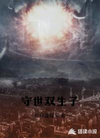 守世双生子