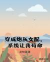 书名