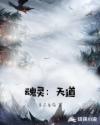 魂灵：天道