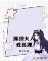 狐狸夫人爱狐狸