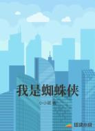 我是蜘蛛侠