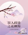 误入歧途之花柳海