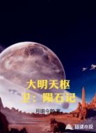 大明天枢卫:陨石记