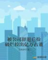 书名