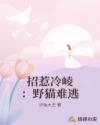 招惹冷崚：野猫难逃