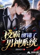 校霸绑错了男神系统