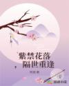 紫禁花落，隔世重逢