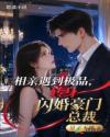 相亲遇到极品，转身闪婚豪门总裁