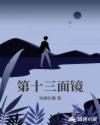 第十三面镜