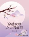 穿越女尊之夫君成群