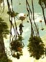 人猿泰山系列Ⅱ返璞归真