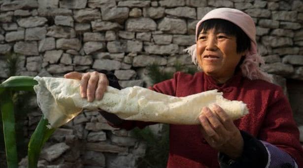 趣闻——山东人为什么喜欢吃大葱